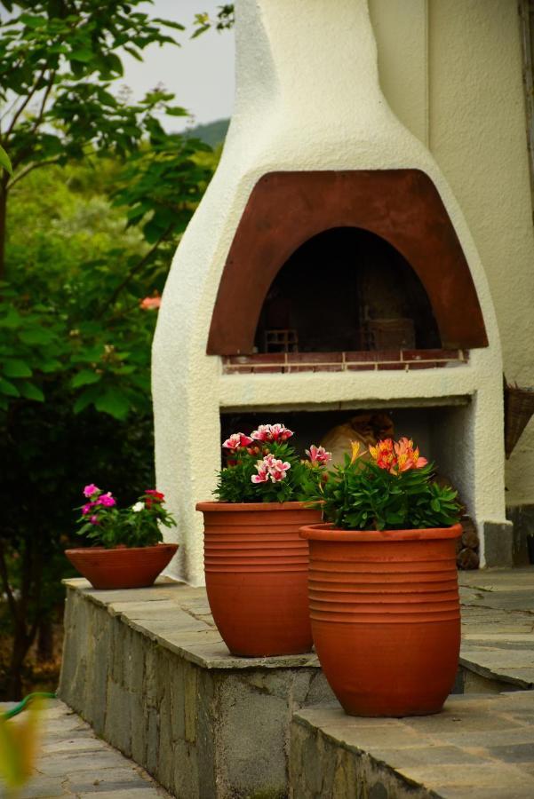 Villa Monte Kariotes Szamothráki Kültér fotó
